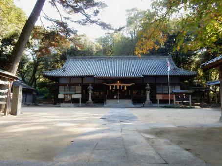 【風景写真】重井八幡神社の風景 重井八幡神社,本殿,神社の写真素材