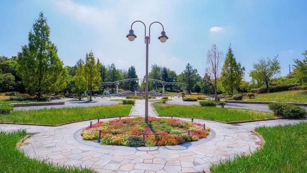 エントランスの花壇　夏 花壇,鶴見緑地,花博記念公園の写真素材