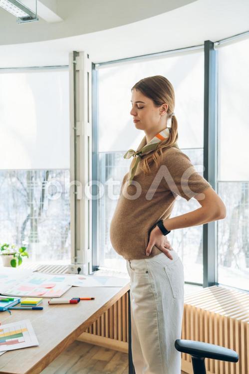 オフィスで立ち上がって腰を押さえる横向きの妊娠中の女性 ビジネス,ビジネスウーマン,女性の写真素材