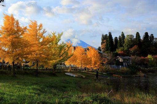 秋の河口湖周辺 秋の河口湖周辺 河口湖周辺,河口湖,湖の写真素材
