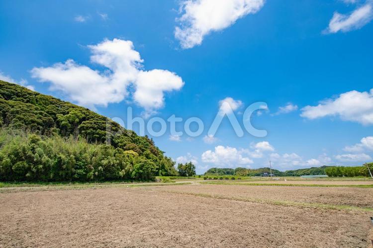 夏の畑から眺める青い空の景色 風景,背景,景色の写真素材