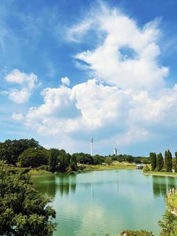 雲が広がる青空と公園の池に反射する木々 雲が広がる青空と公園の池に反射する木々 空模様,空,雲の写真素材
