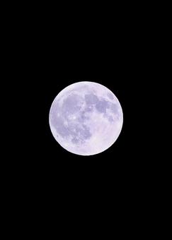 夜空に浮かぶ満月 夜空に浮かぶ満月の写真