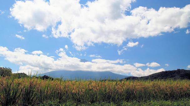 初秋の富士吉田市の田園風景 初秋の富士吉田市の田園風景の写真