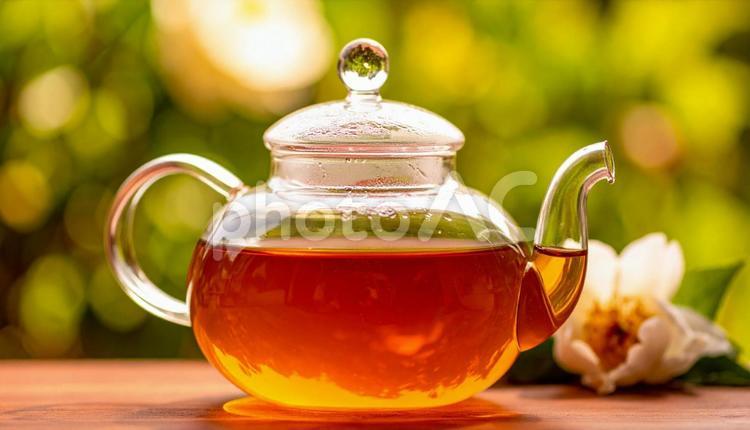 ガラスの急須に入った美しい台湾茶　中国茶 台湾茶,中国茶,工芸茶の写真素材