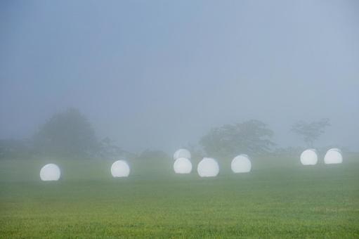 霧の中の牧草ロール 霧の中の牧草ロールの写真
