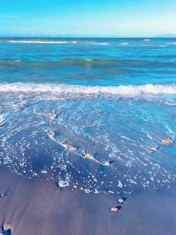 夏の海 夏の海の写真