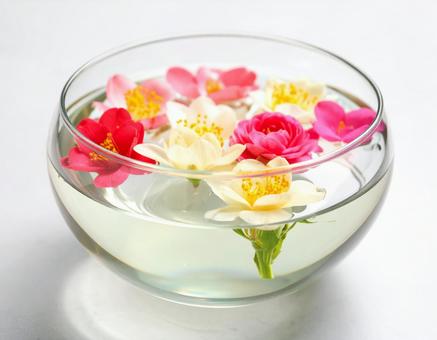 水に浮かぶ花 水に浮かぶ花の写真