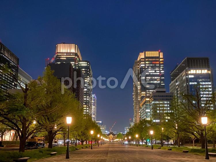夜の東京丸の内のビル群と東京駅 東京,丸の内,ビル群の写真素材
