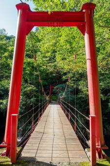 赤い吊橋⑶ 赤い吊橋⑶の写真
