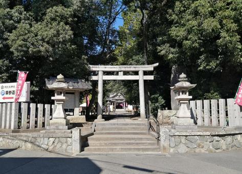 阿比太神社　南参道 阿比太神社,南参道,鳥居の写真素材