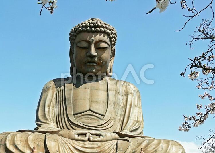 大仏さまのお姿 大仏,愛知県,座像の写真素材