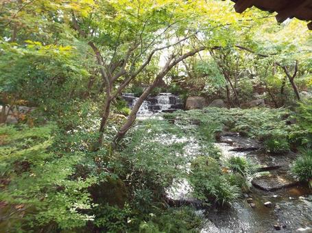 【風景写真】美しい庭園 【風景写真】美しい庭園の写真