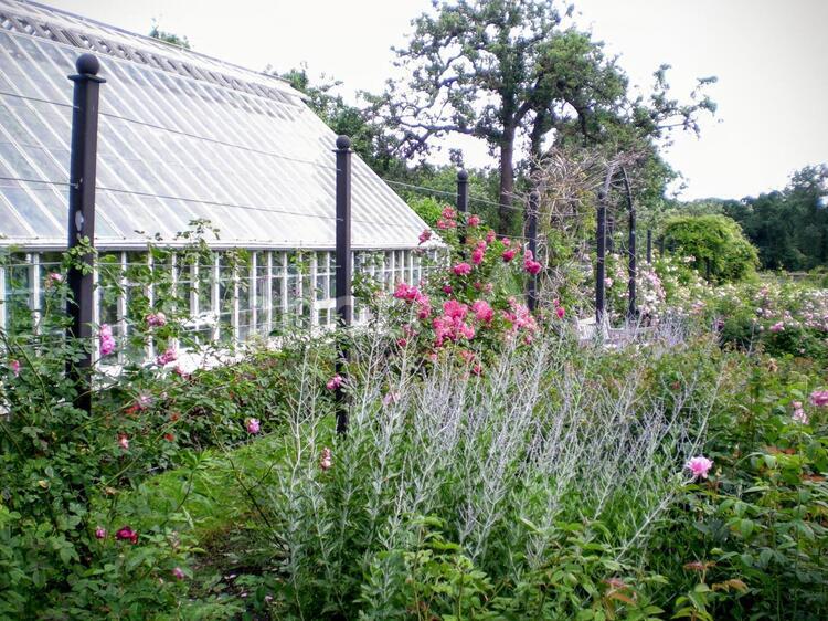 北欧の庭園から 北欧,スウェーデン,庭園の写真素材