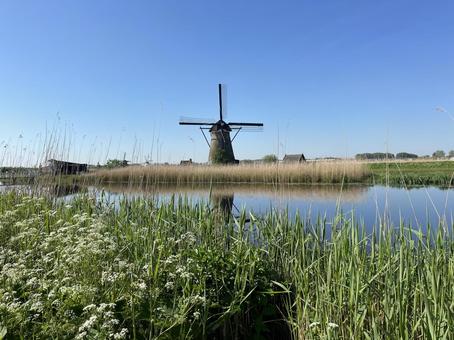キンデルダイク＝エルスハウトの風車網 キンデルダイク,風車,オランダの写真素材