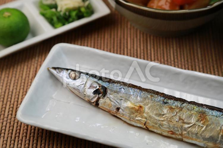 秋刀魚 サンマ,秋刀魚,焼き秋刀魚の写真素材