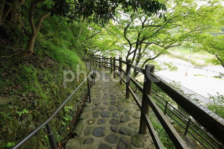 兵庫県豊岡市　玄武洞公園　遊歩道 玄武洞公園,玄武洞,公園の写真素材