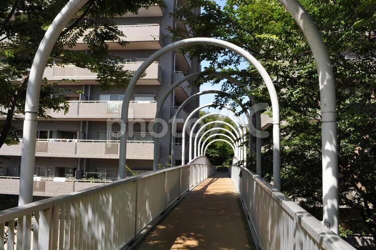 マンション敷地　空中庭園のアーチトンネル 大規模マンション,敷地,空中庭園の写真素材
