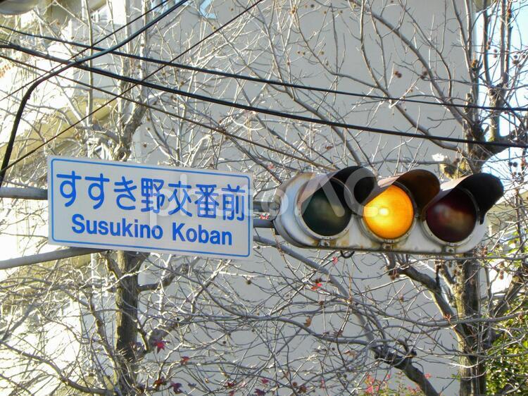 道路標識　交差点名標識　すすき野交番前　横浜市青葉区 交差点,交差点名標識,横浜市の写真素材