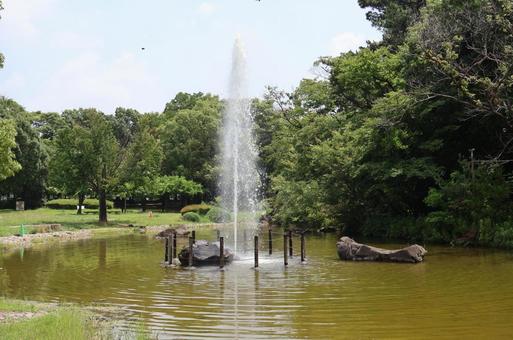 岩槻城址公園の噴水 岩槻城址公園の噴水 岩槻城址公園,噴水,暑い日の写真素材