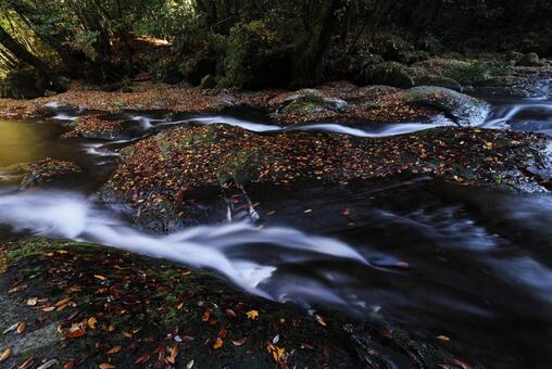菊池渓谷 菊池渓谷,菊池川,熊本県の写真素材
