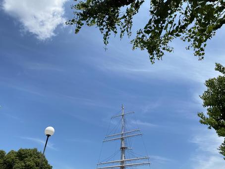 Photo, sky, look to the sky, wood, 
