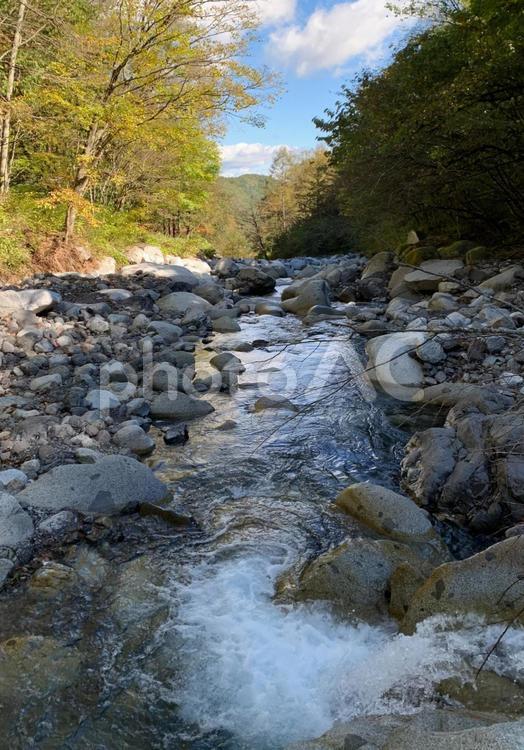自然　川　風景 森林,川,自然の写真素材