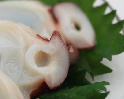 蒸しだこ(北海道産・刺身用) 蒸しだこ(北海道産・刺身用) 蒸しだこ,たこ,タコの写真素材