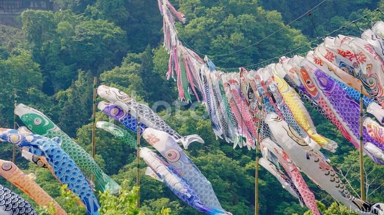 鯉のぼりのある風景 鯉のぼり,こいのぼり,端午の節句の写真素材