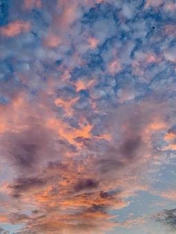空 夕焼け オレンジ 縦型 空 夕焼け オレンジ 縦型 空,夕焼け,オレンジの写真素材
