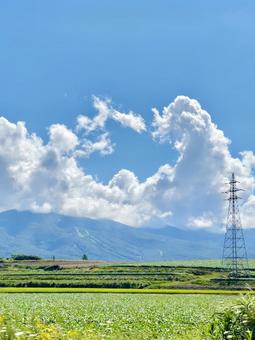 草原と穴あき形の雲 草原と穴あき形の雲の写真