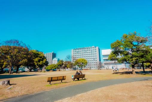 【熊本】白川公園 【熊本】白川公園 熊本,白川公園,公園の写真素材
