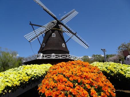 四月のアンデルセン公園-79 四月のアンデルセン公園-79 四月,ふなばしアンデルセン公園,千葉県船橋市の写真素材