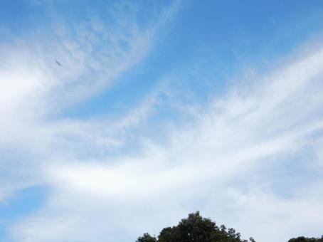 【空の写真】秋空 【空の写真】秋空 秋空,空,雲の写真素材