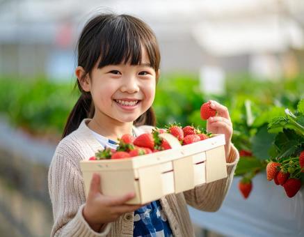 いちご狩りの女の子 いちご狩りの女の子の写真