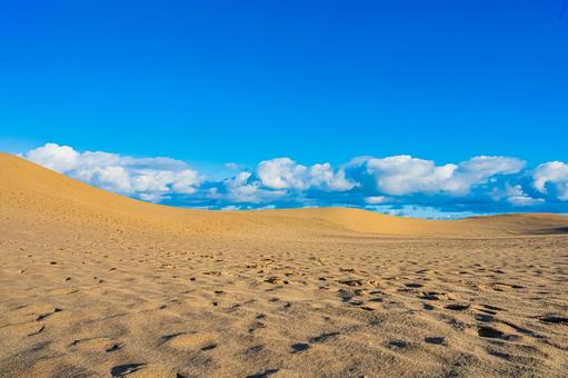 鳥取県　鳥取砂丘の風景 鳥取砂丘,日本の風景,自然の写真素材