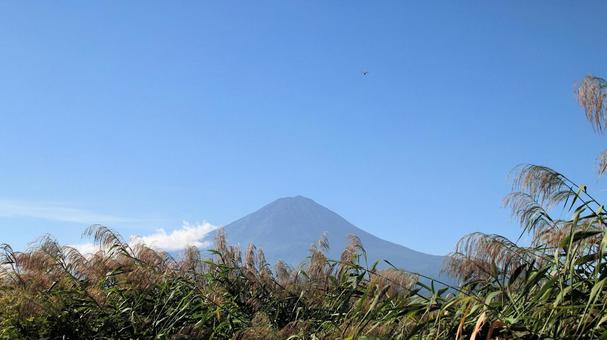初秋の河口湖大石公園から望む富士山 初秋の河口湖大石公園から望む富士山 富士山,初秋,9月の写真素材