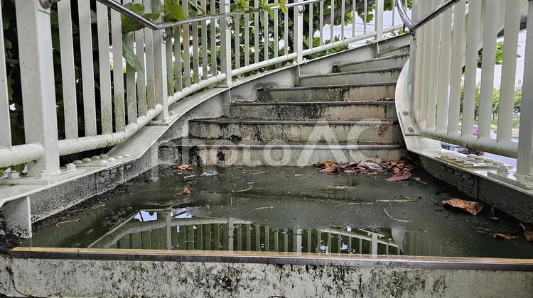 雨上がりの階段 雨上がり,階段,水たまりの写真素材