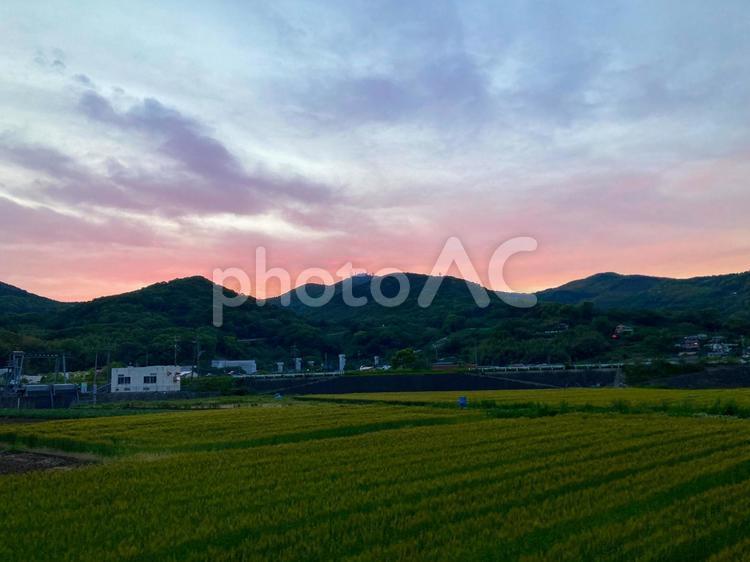里山の夕暮れ 夕暮れ,夕方,水田の写真素材