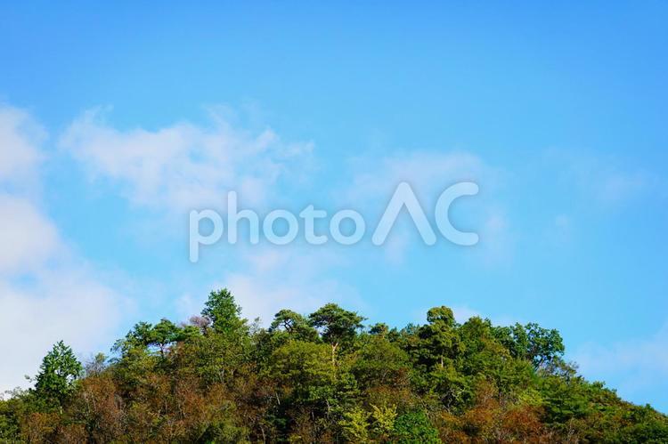 山の木々と青空の背景 空,青空,晴れの写真素材