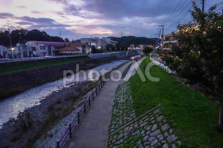 夕方の大栗川沿いの道 川沿い,道,夕方の写真素材