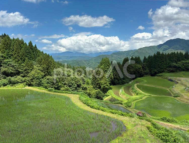 梅雨明けの小代区 梅雨明け,香美町,小代区の写真素材