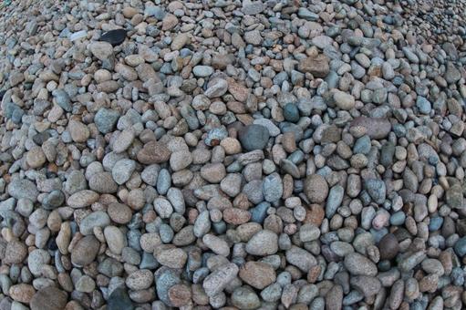 丸石の海岸 海岸,石,丸石の写真素材