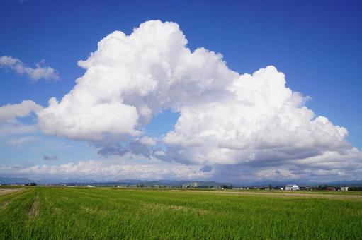 夏の入道雲 夏の入道雲の写真