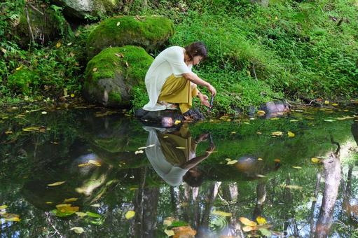 泉 泉 泉,池,緑の写真素材