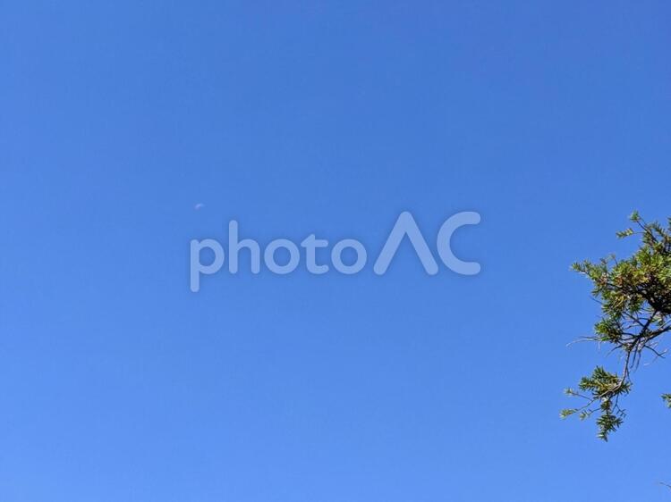 夏の空～緑を添えて 空,青,夏の写真素材