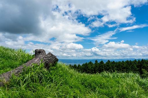 大和葛城山　山頂より 葛城山,大和葛城山,山頂の写真素材