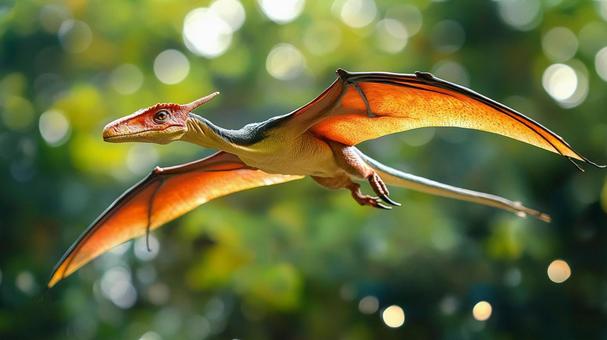 飛行するディモルフォドン1の写真