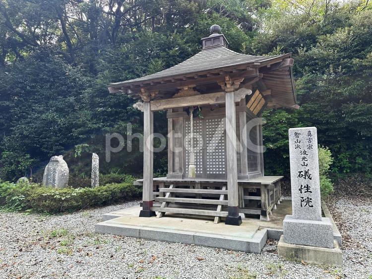 波光山　礒性院 宮城県,亘理郡,山元町の写真素材