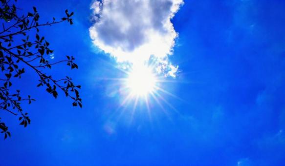 暑い夏の日と太陽 暑い夏の日と太陽の写真
